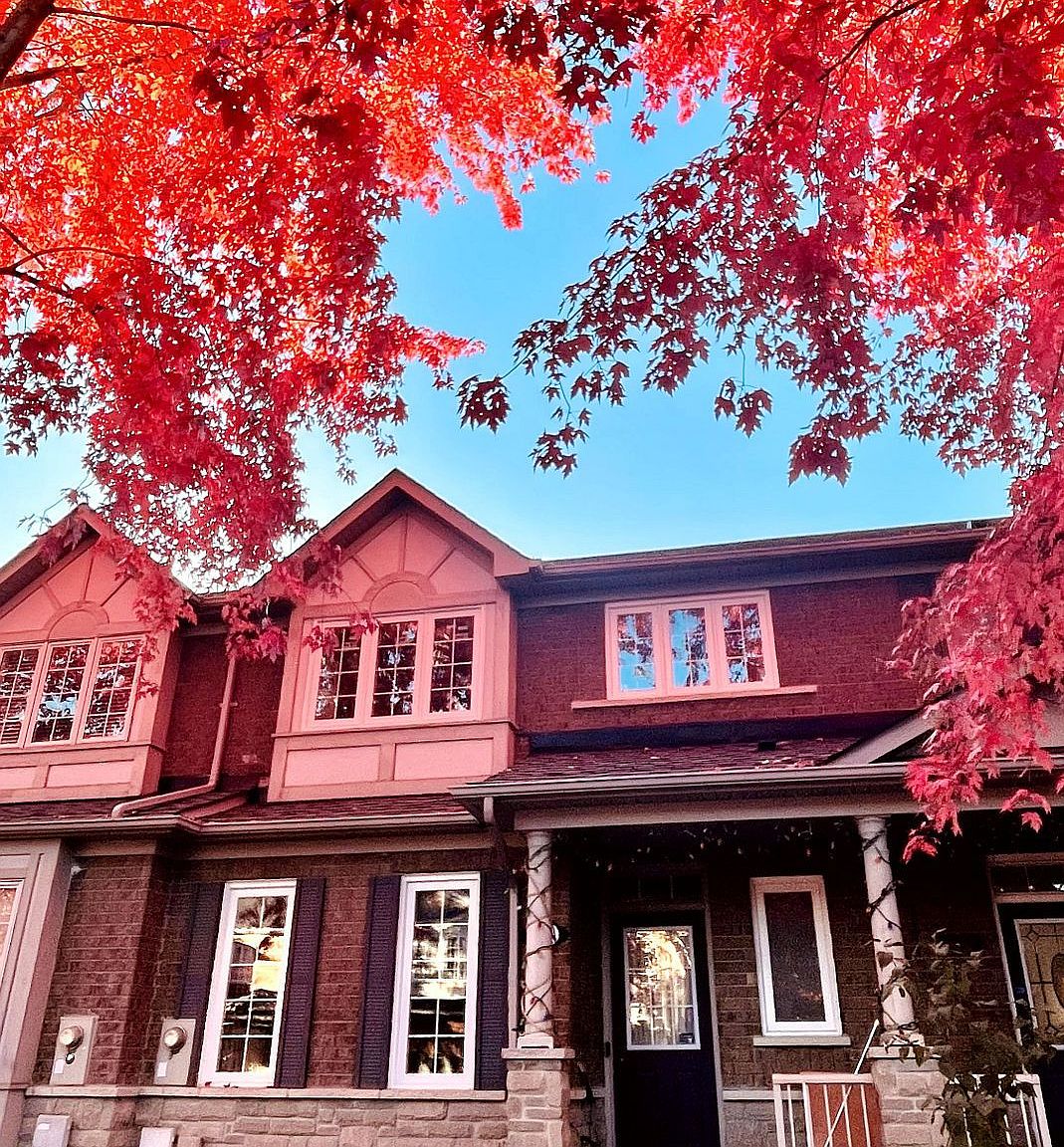 161 Selkirk Dr, Richmond Hill, ON L4B 4H9 Zillow