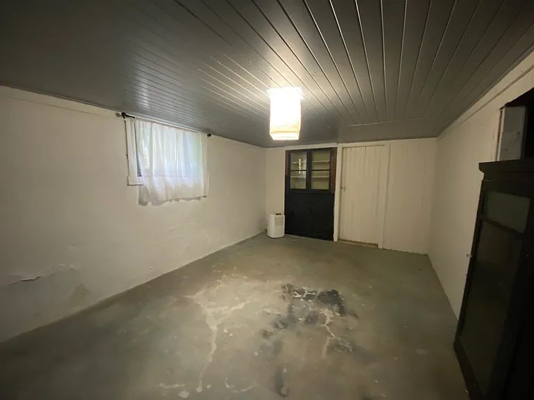 basement with W/D