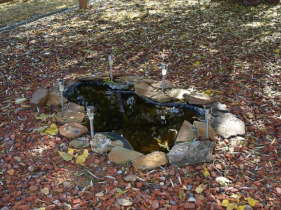 Pond