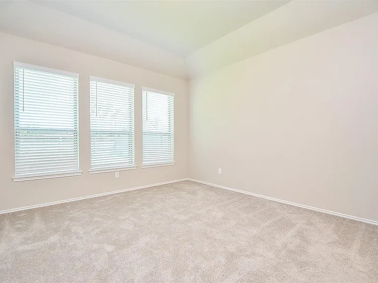 231 Bright Valley Way — Photo 11