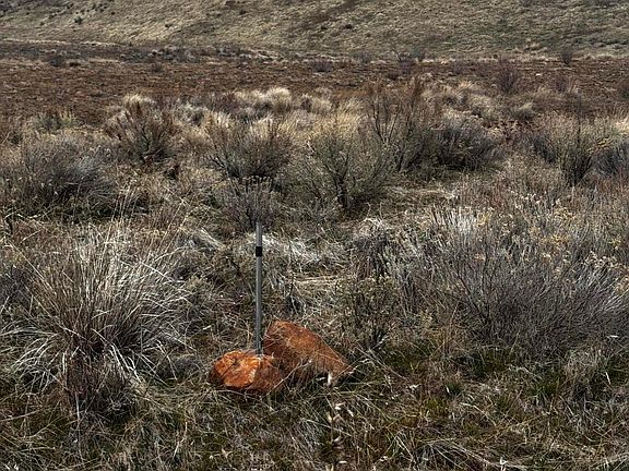 3rd image of Nka Badger Rd