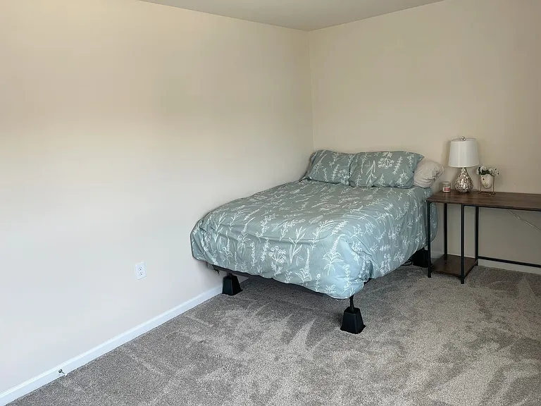 1501 Rhodes Pond St — Photo 19
