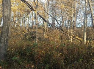 0 Shanghai Murray Rd, West Liberty, WV 26074