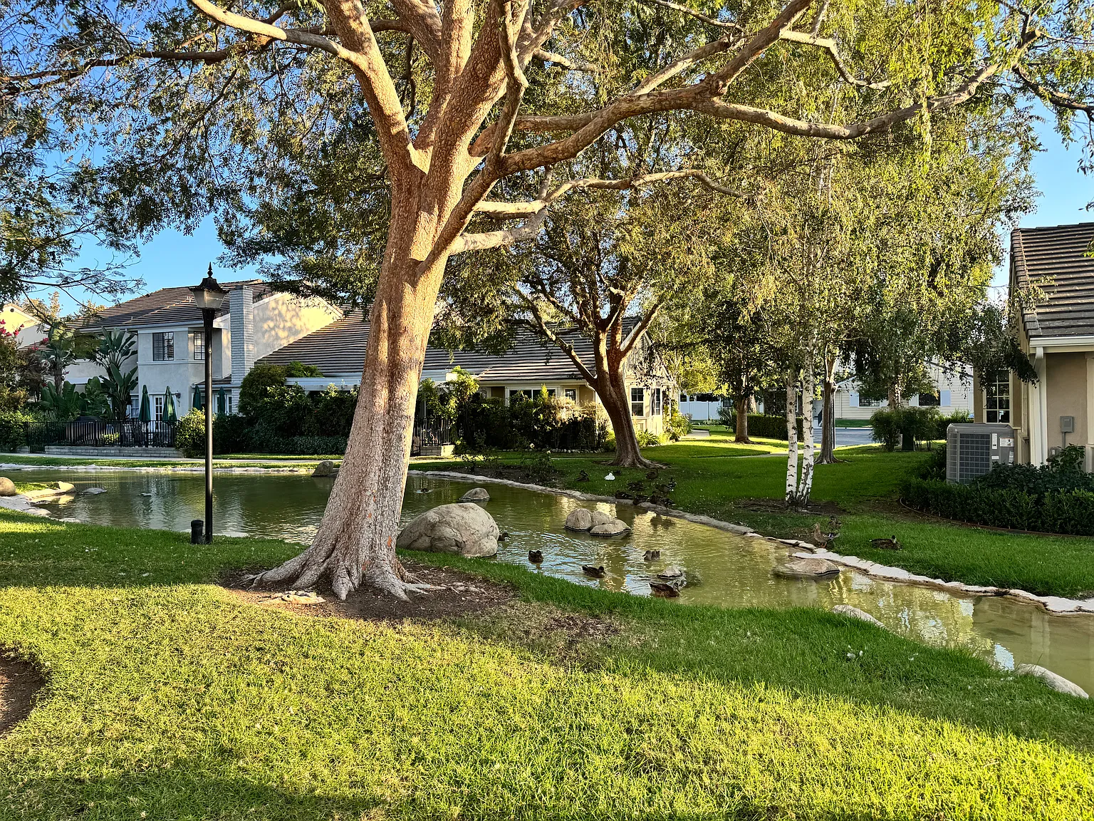 3 bed, 1831 sqft, $7,500 — Photo 3