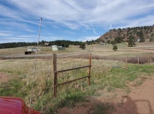 466 Spring Valley Dr LOT 18, Florissant, CO 80816
