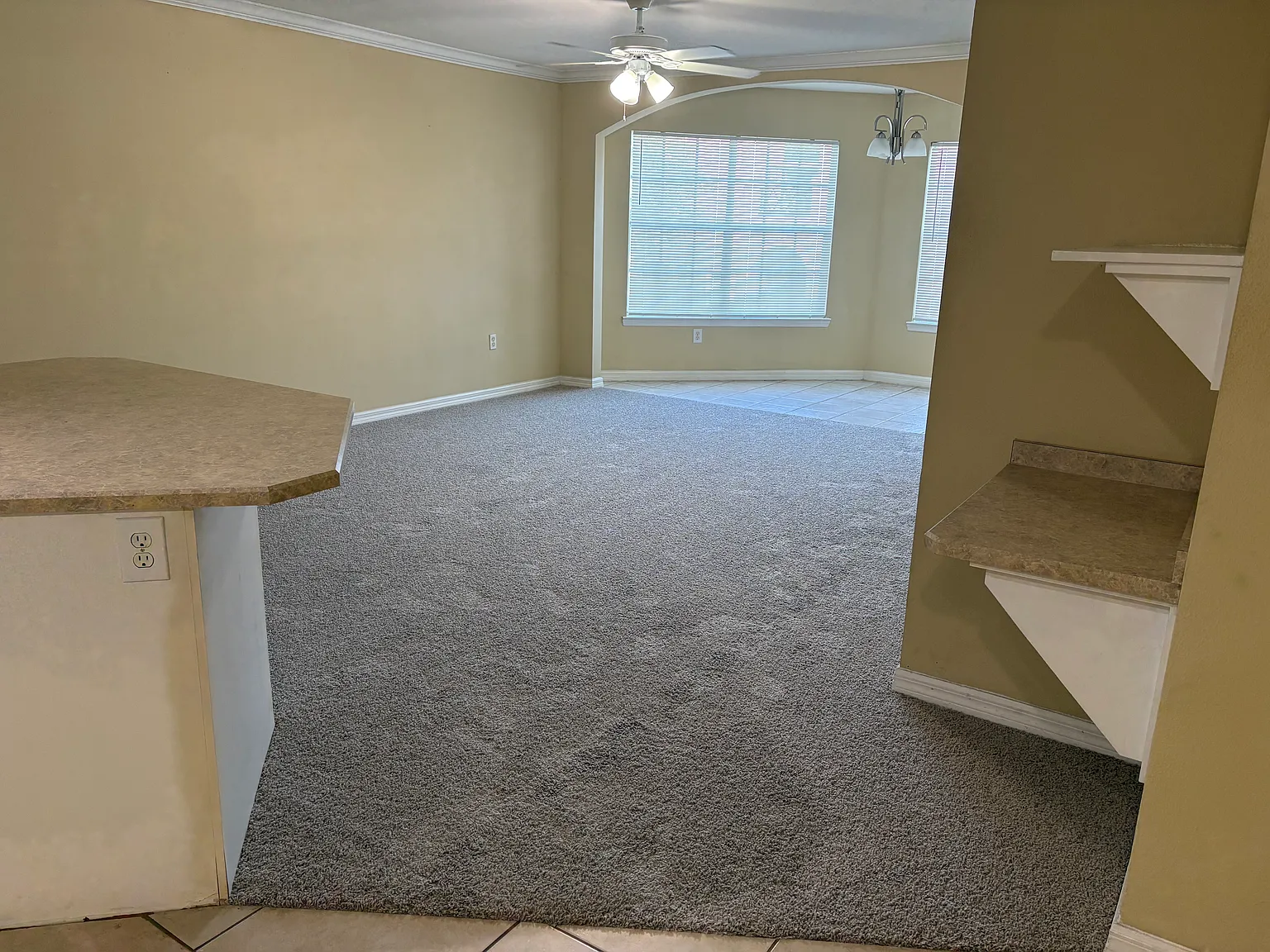 1 bed, 905 sqft, $1,300 — Photo 3