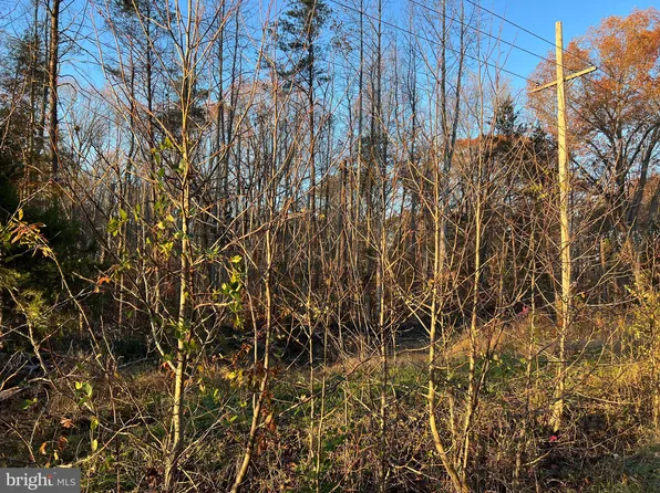 Port Tobacco Rd, Nanjemoy, MD 20662