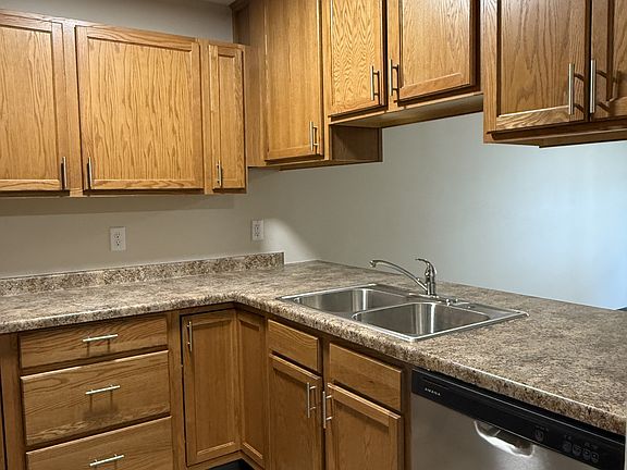 Kitchen counters, cupboards and dishwasher
