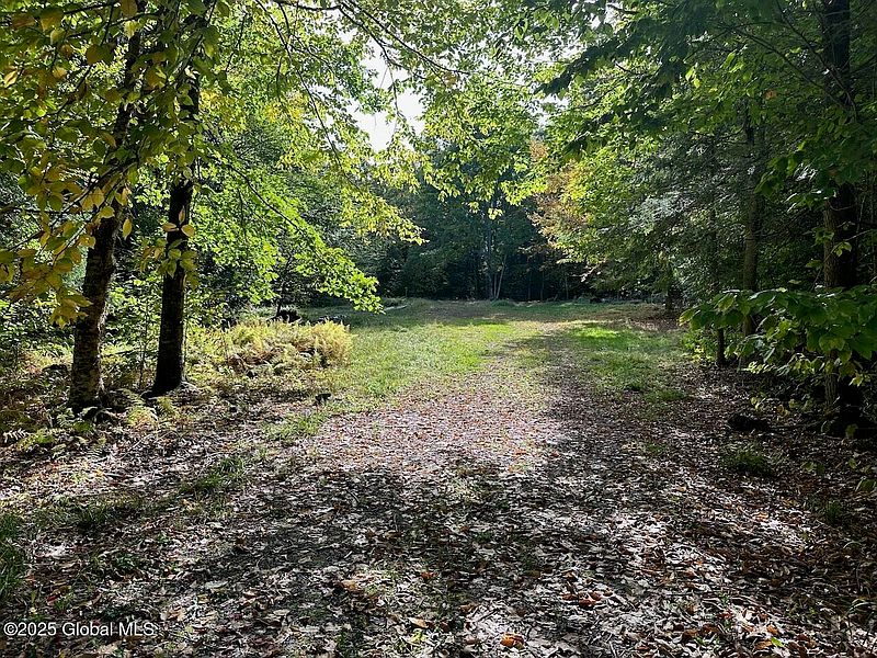 5th image of 339 Military Road