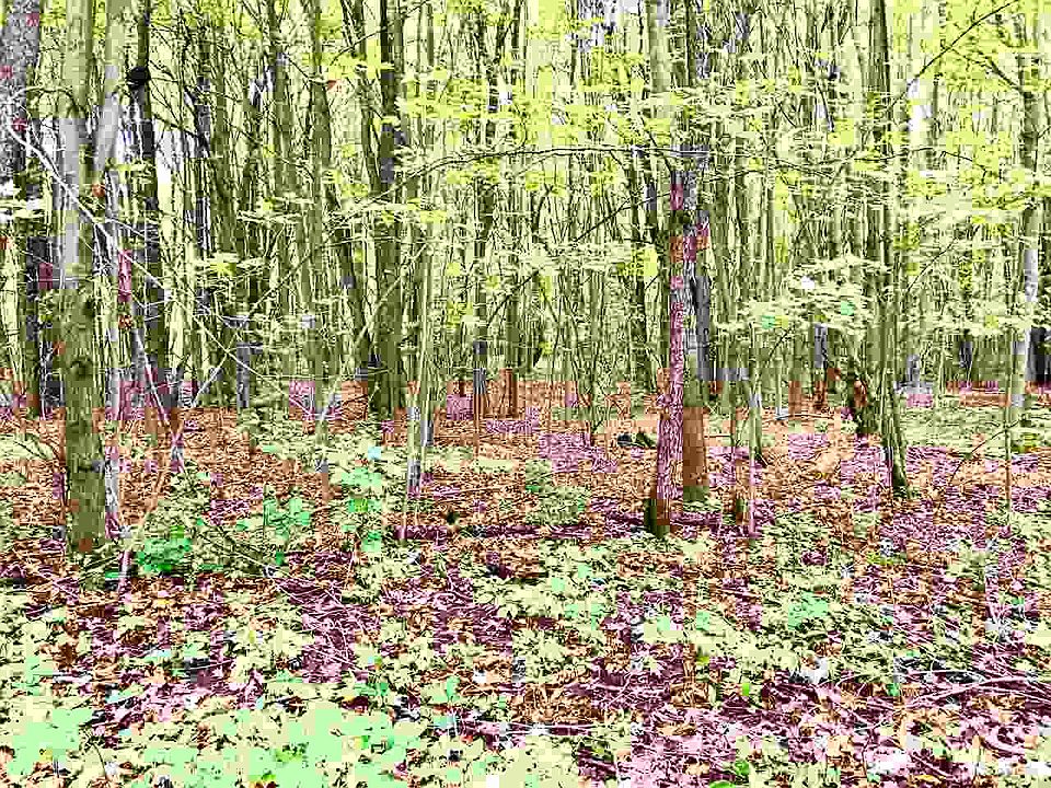 1st image of Autumn Dr #30