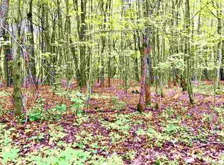 Autumn Dr #30, Saint Helen, MI 48656