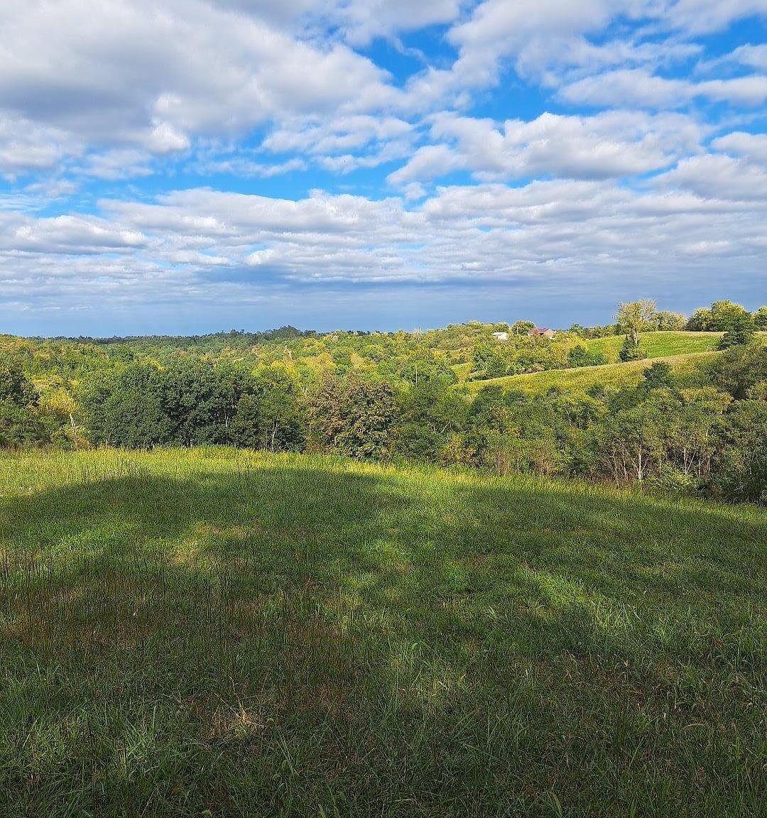 300 Bracht Rd, Corinth, KY 41010 Zillow