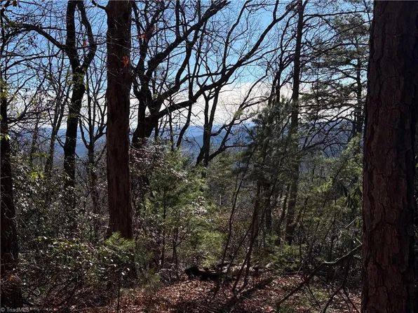 27 Bobcat Mountain Rd #27, Purlear, NC 28665