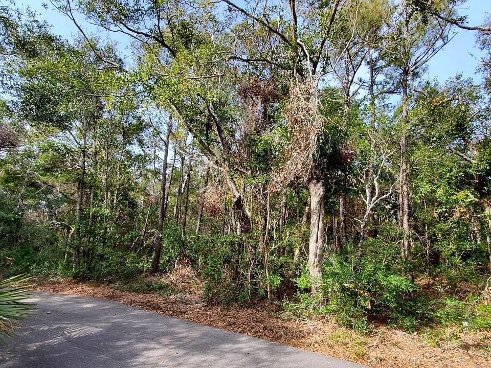 2nd image of 11 Col William Rhett Tract LOT 11