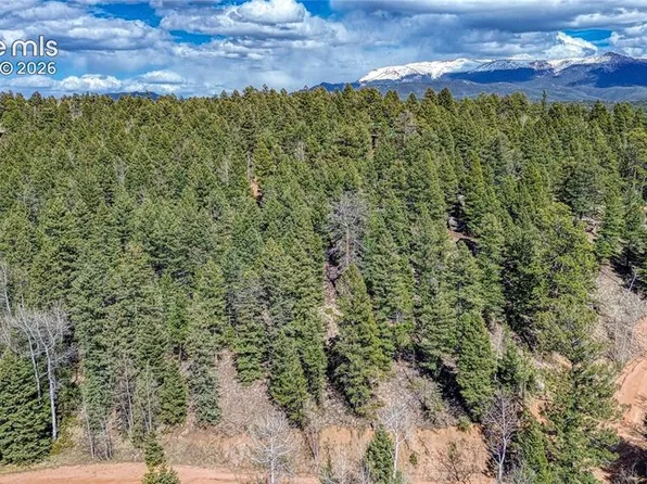 3075 N Mountain Estates Rd, Florissant, CO 80816
