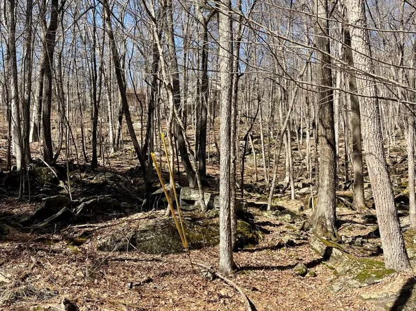 114 Militia Ct, Lackawaxen, PA 18435