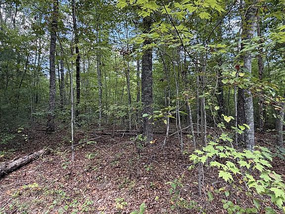 4th image of Horse Creek Rd