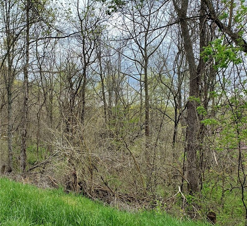 2nd image of Bone Rd