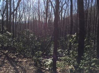 99999 Summer Haven Rd, Swannanoa, NC 28778