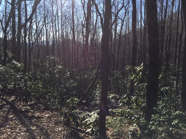 99999 Summer Haven Rd, Swannanoa, NC 28778