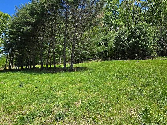 5th image of 0 Dooley Hollow Rd