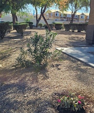 2nd image of 2879 Canonero St