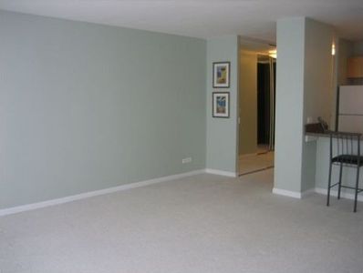 1540 N La Salle Dr APT 802, Chicago, IL, 60610