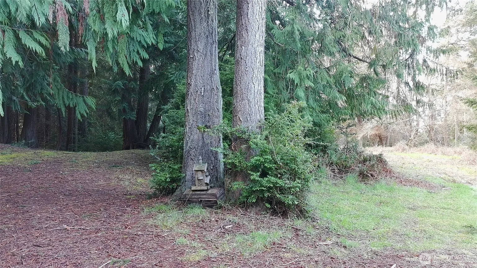 0 XXX Sandy Point Road photo 1