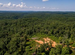64AC Dotson Rd, Ellijay, GA 30540