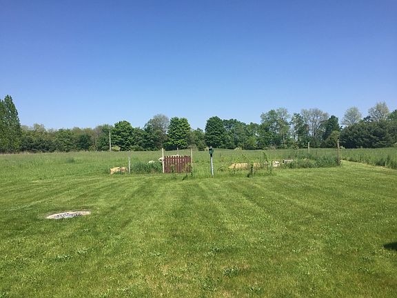 Back yard: fire pit + garden