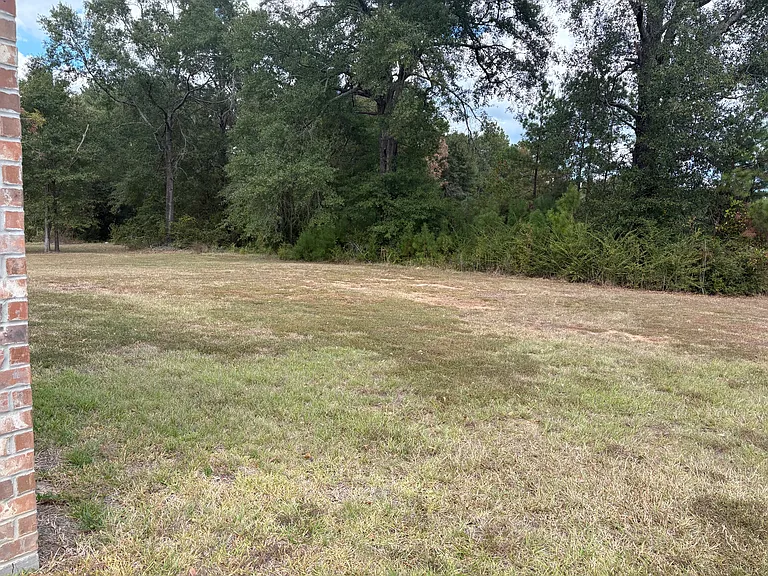 Back yard_10172025