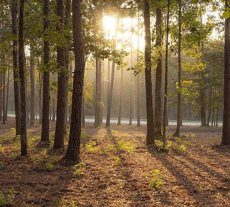 2nd image of 15211 Rubicon Rd