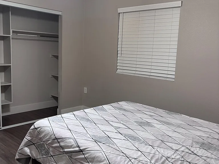 huge storage in the closet