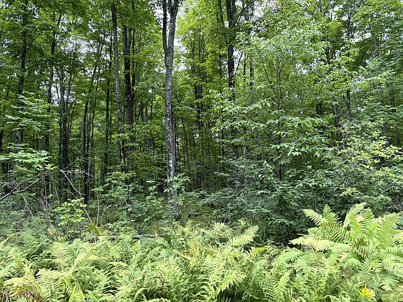 3rd image of 0 Sportsman Rd