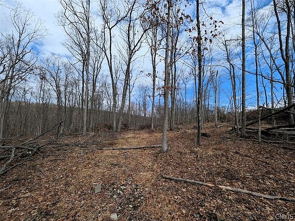 2nd image of Welty Rd