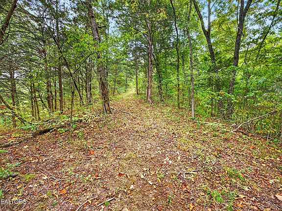 4th image of 27 Timber Ridge Ln