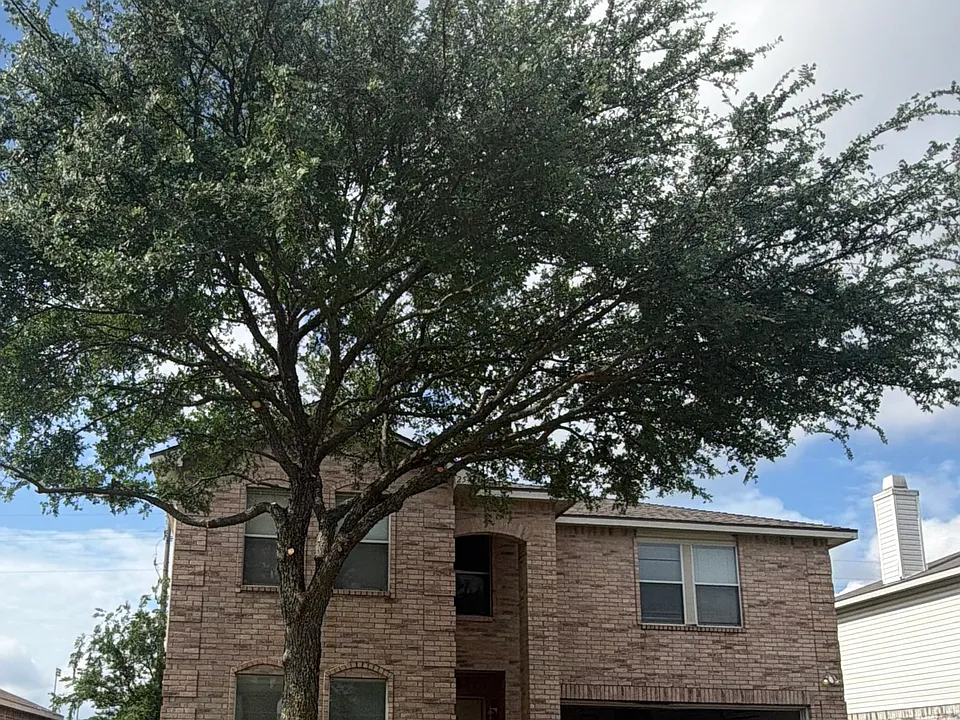 2545 Brinlee Branch Ln