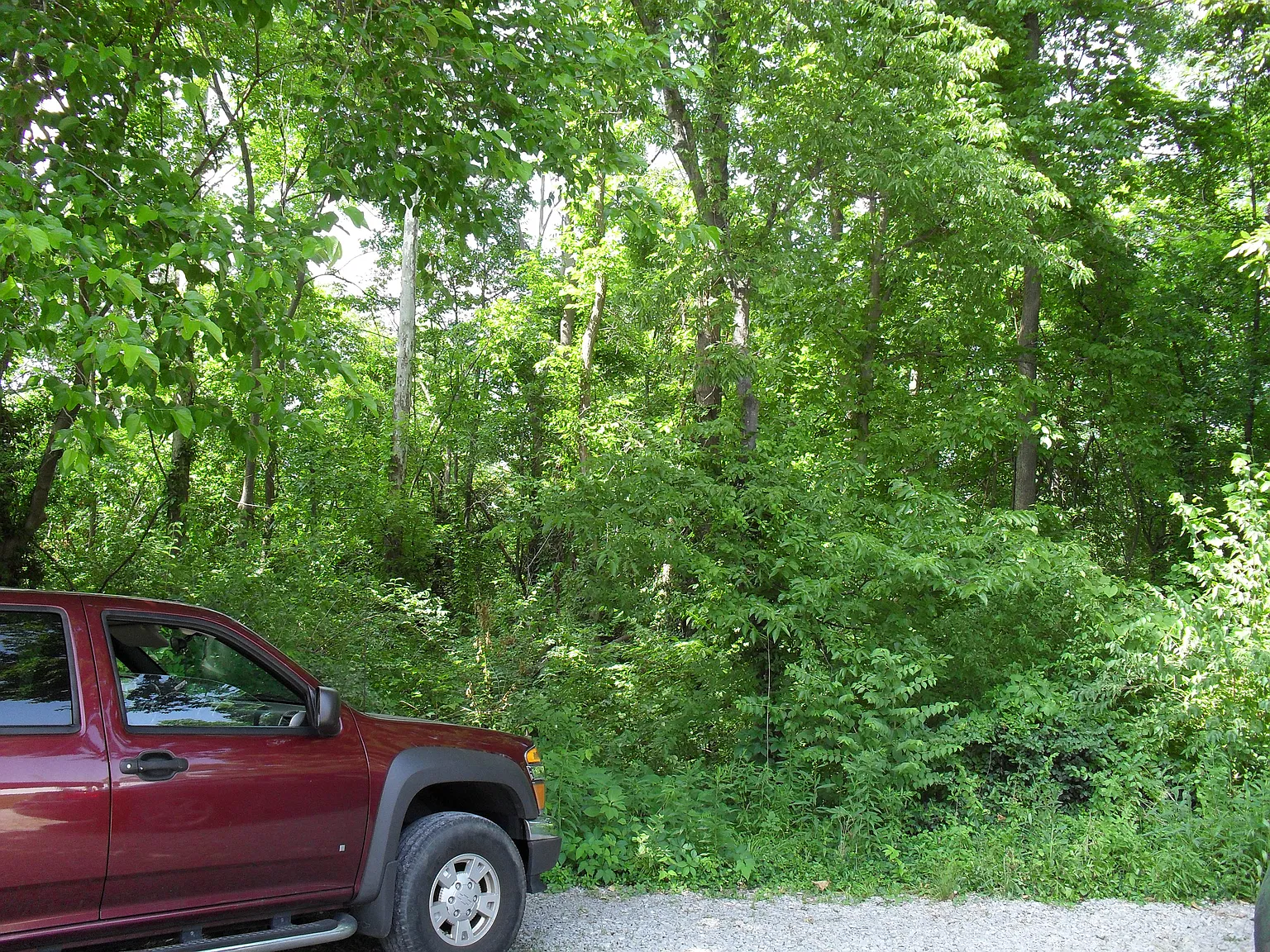 2 bed, $795 — Photo 4