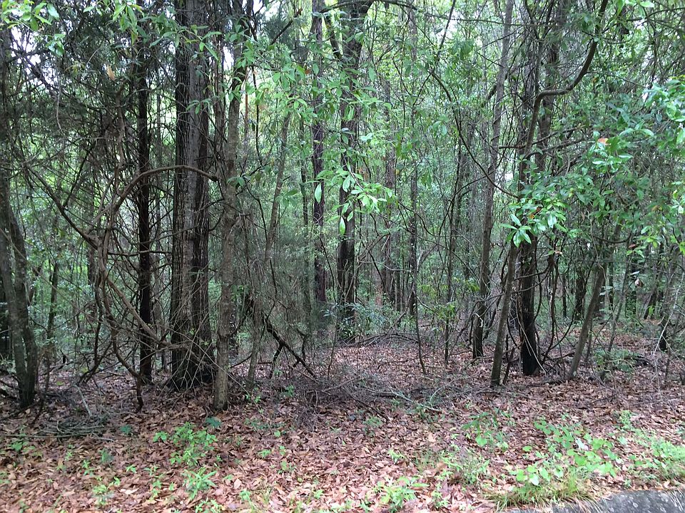 2nd image of Boyd Ln