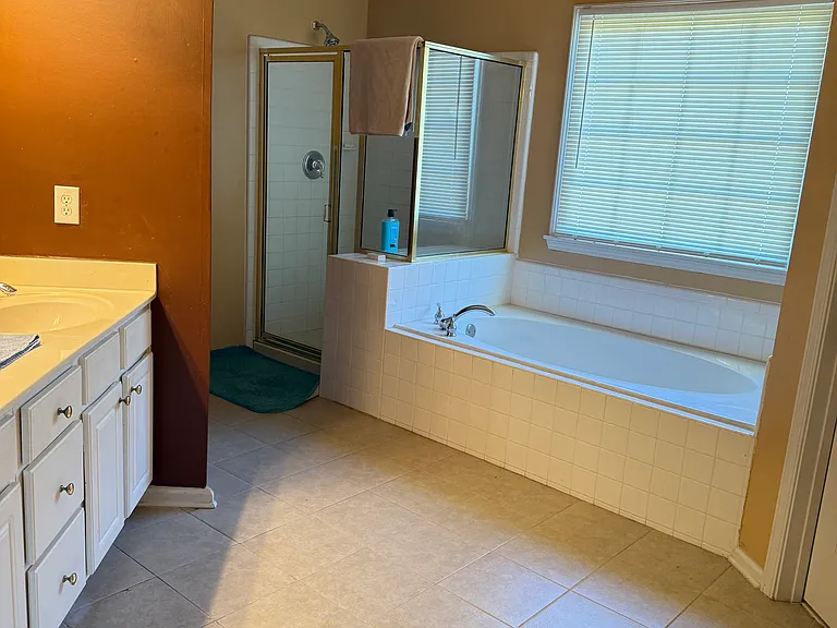 Master bathroom