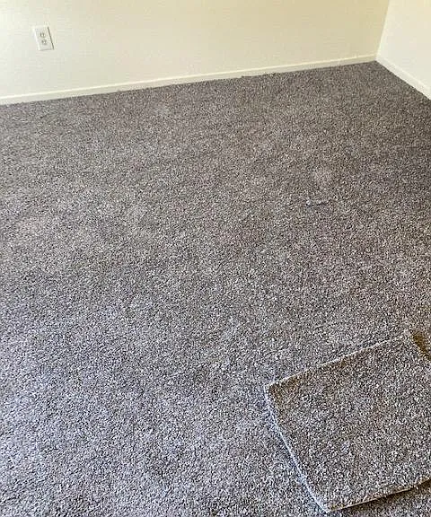 720 Plumas Ave — Photo 3