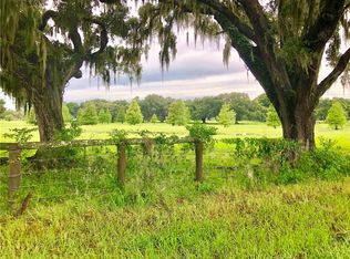 Casteen Rd, Leesburg, FL 34748