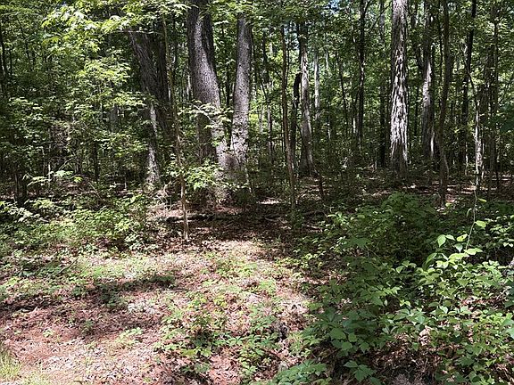 2nd image of 25 N Bluff Point Rd