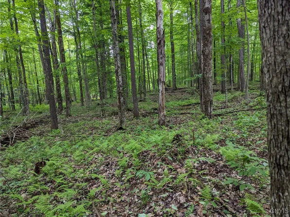 LOT 4 Hemlock Dr #46, Lowville, NY 13367