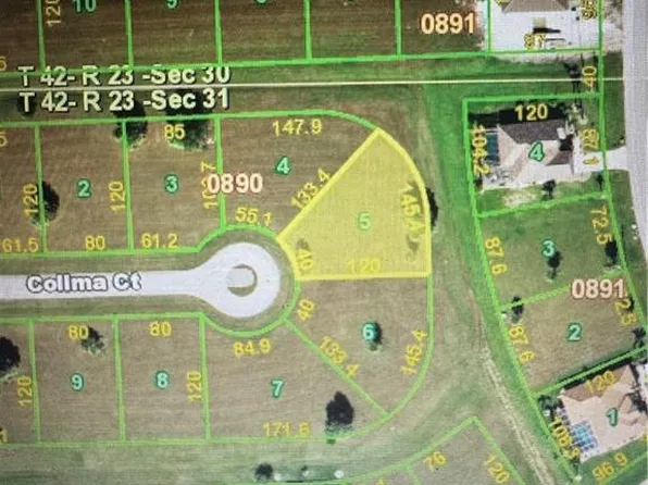 24182 Colima CT, PUNTA GORDA, FL 33955