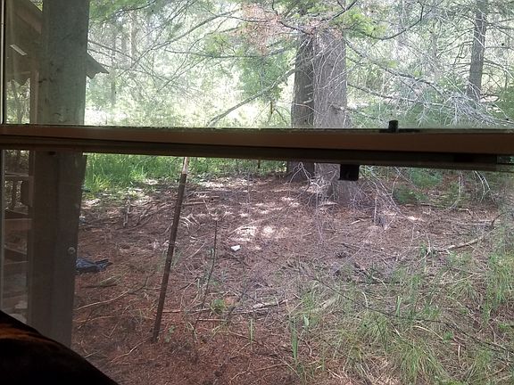 5th image of 91 Wildwood