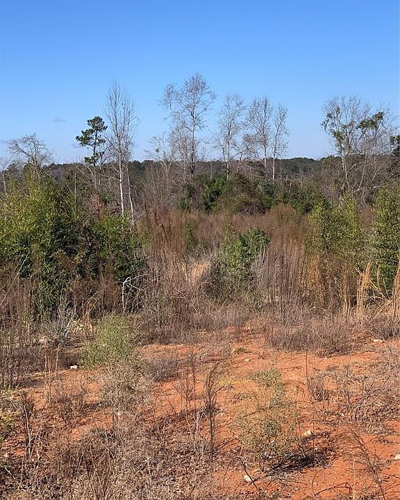 2nd image of 8673 Kowaliga Rd
