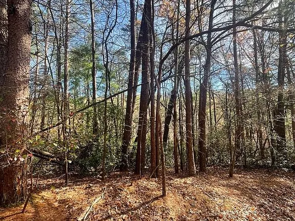 817 Horse Cove Ct, Jasper, GA 30143