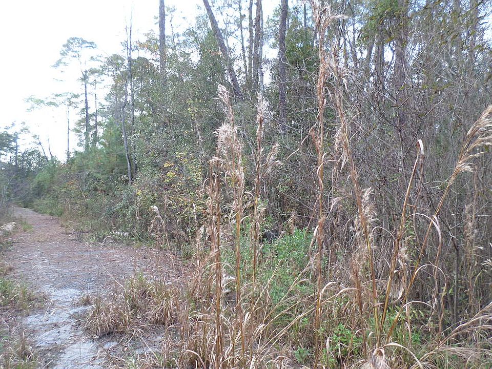 2nd image of Metto Rd