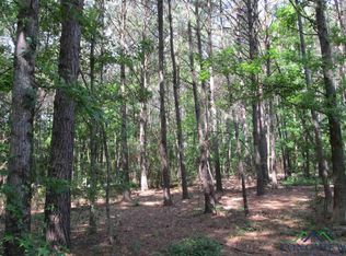 Tbd Lansing Switch Rd, Longview, TX 75602